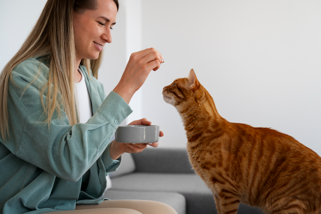 alimentazione gatto fip