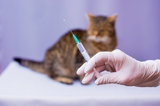 Vaccino per la FIP: cosa c’è da sapere oggi, pro e contro