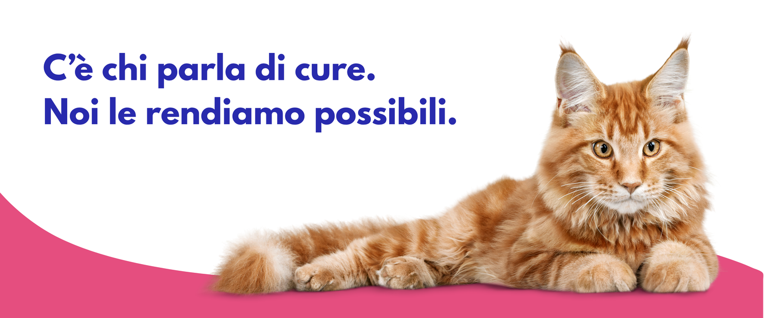 acquista il medicinale per la fip